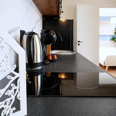 아파트 Cofy - Old Town, Quiet Area, Air-conditioning, Free Parking, 24-7 Check-in-out, Six Similar In Listing, One Optimal Up To 6 Person, Economy Max 8 Person *